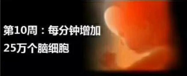 孕妈十月怀胎，详解每周小宝宝在妈妈肚子里发生了哪些变化，实用