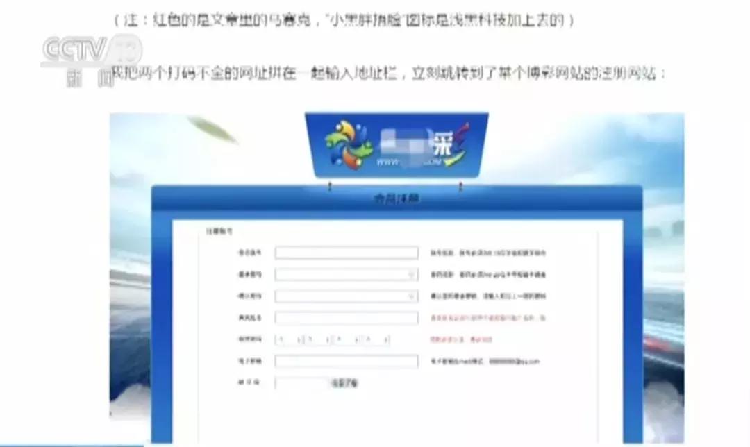 破获网络彩票赌博案例,网络参与彩票赌博判几年