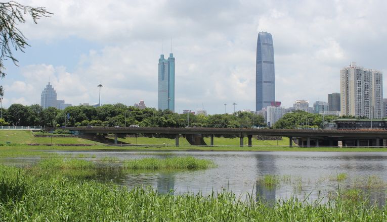 深圳一别墅区惊现蛇出没,南宁一小区捕捉3条蛇