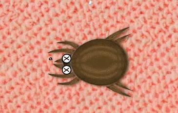 螨虫走开！中疾控检测100%有效，家有小宝、消除过敏源必备