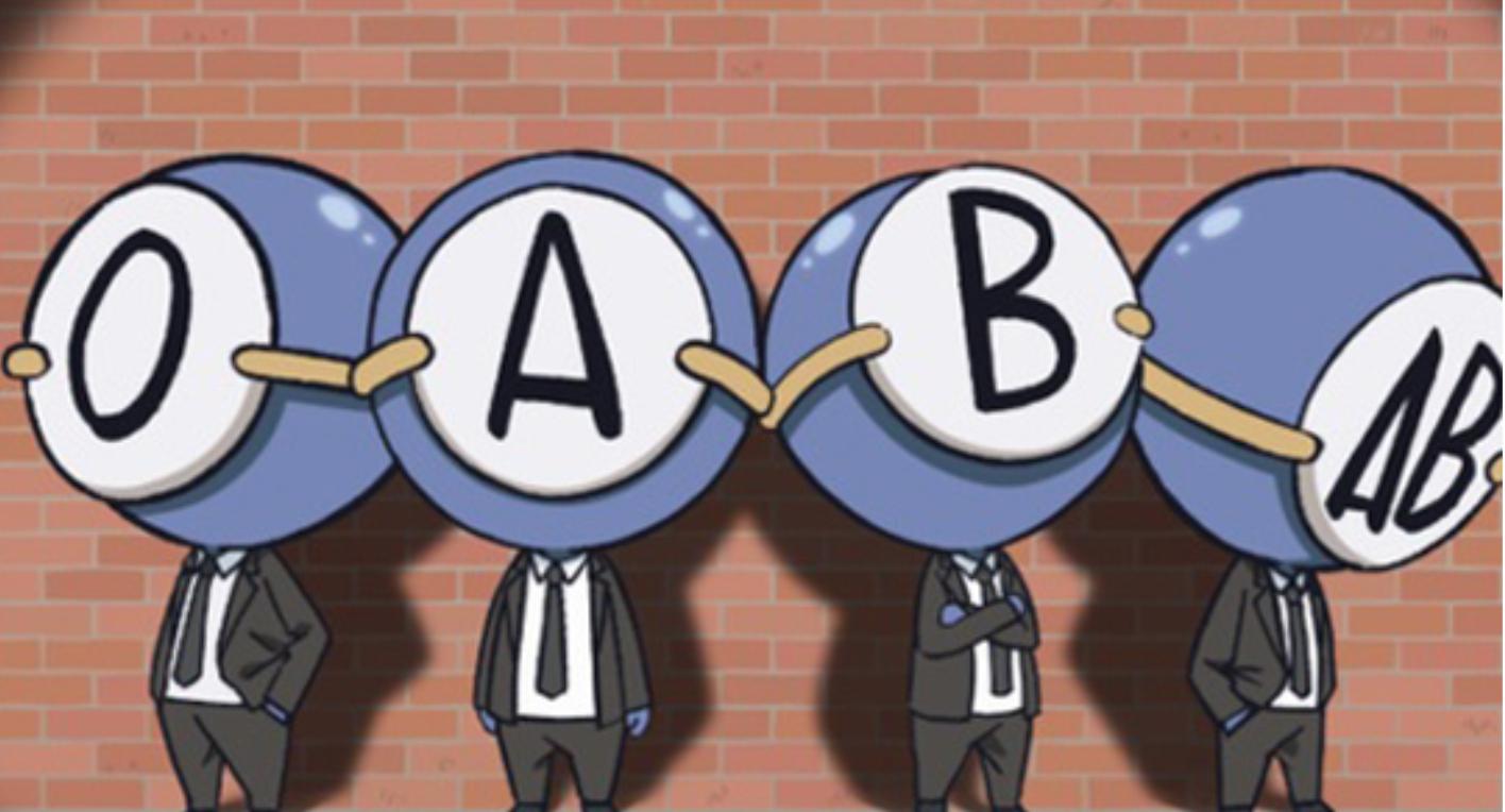 父亲b型血母亲o型孩子血型,父亲b型血母亲o型孩子是什么血型