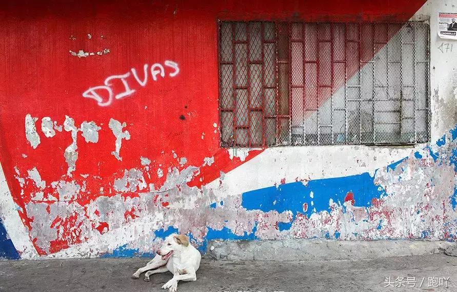 世界杯进球最多的国家是哪国,世界杯进球最多的国家是哪个国家