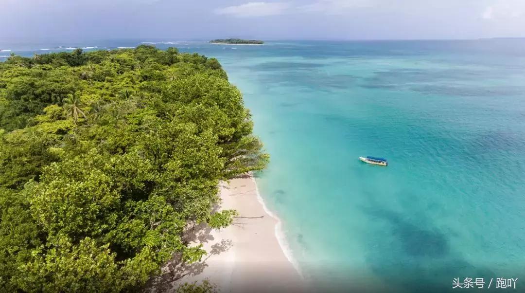 单次世界杯进球最多的国家,世界杯单场进球最多的国家