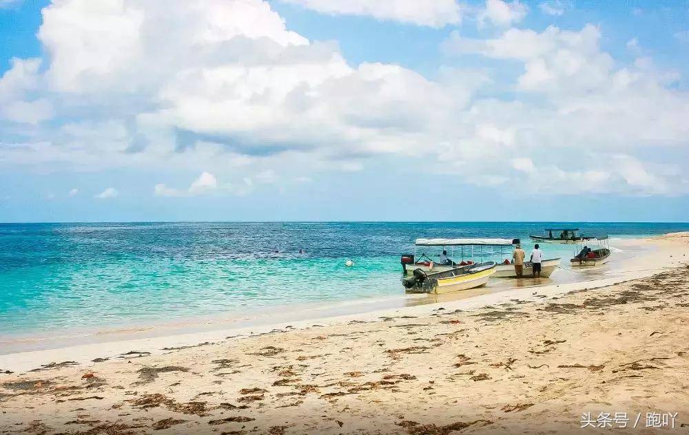 单次世界杯进球最多的国家,世界杯进球最多一场的国家