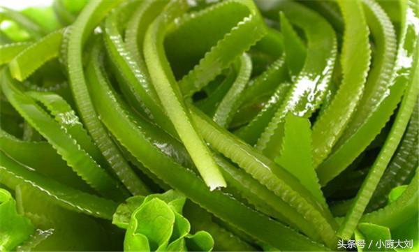 怎样煮海带软又好吃,海带如何煮才又脆又好吃