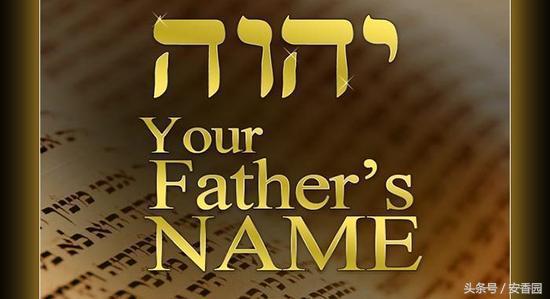 世界杯最冷门知识科普,世界杯知识科普列举