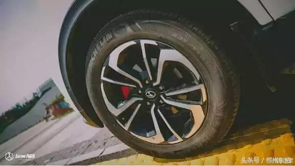 世界杯深度解析比利时,世界杯探球