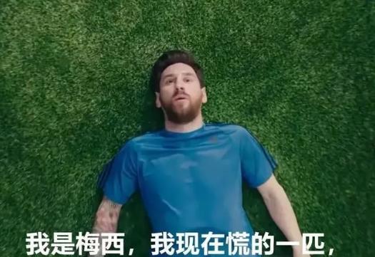 俄罗斯世界杯g组小组赛,俄罗斯世界杯小组赛