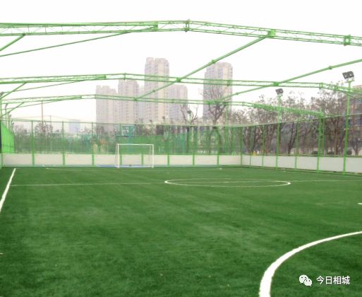 世界杯踢球场地是不是草坪,世界杯足球场有没有篮球场大