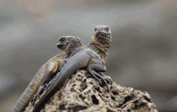 探索自然的纪录片推荐,七部神级自然纪录片你看过几部