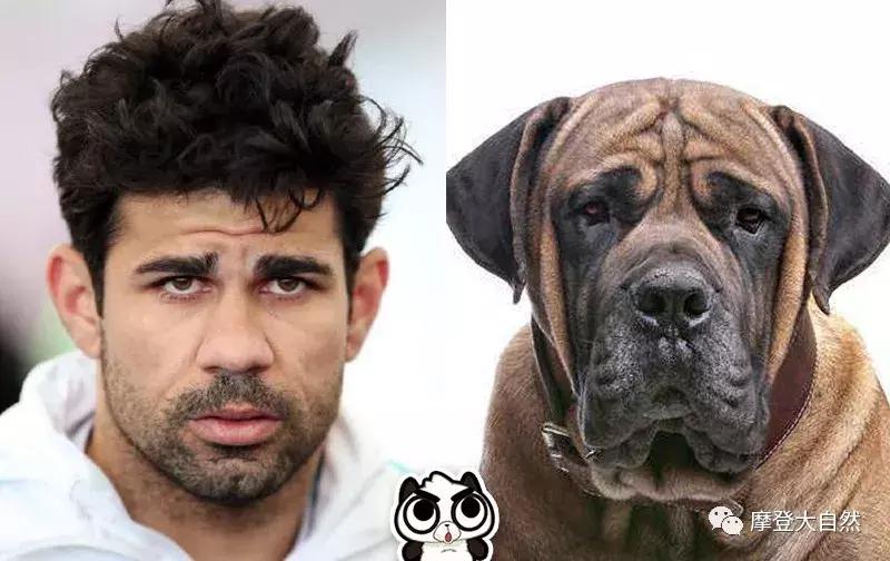 当c罗是什么体验,当c罗扮成流浪汉