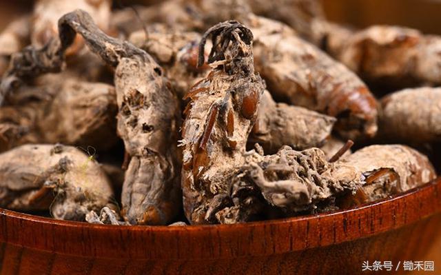 这里的农民上山不挖竹笋，只找这种半花半虫的它，能卖300多一斤