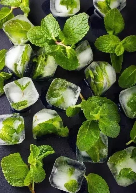 闲时种花草,夏天种几盆薄荷