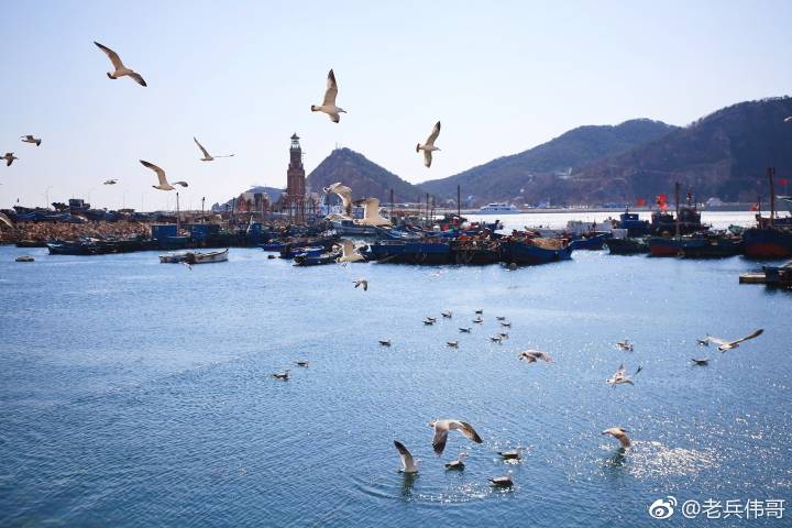 夏日的大连三寰牧场,大连三寰牧场和英歌石植物园