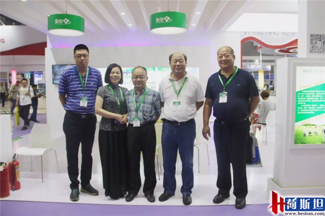 荷斯坦展览会,荷斯坦牛展