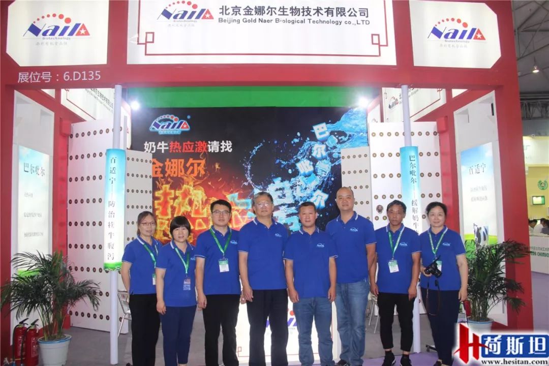 荷斯坦展览会,荷斯坦牛展