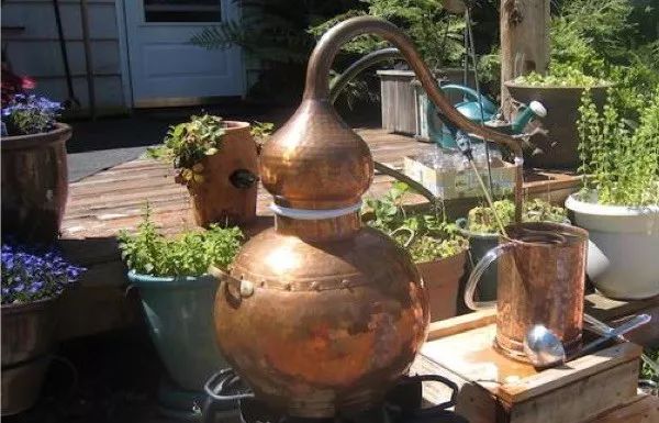 玫瑰纯露精油使用步骤,精油纯露的功效和作用