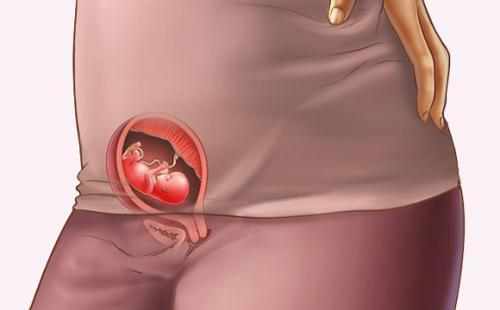 孕妈憋尿对宝宝的危害,孕期憋尿有什么影响