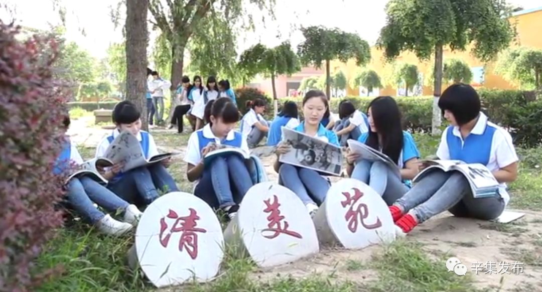 辛集学校有哪些,辛集有哪些职教类学校