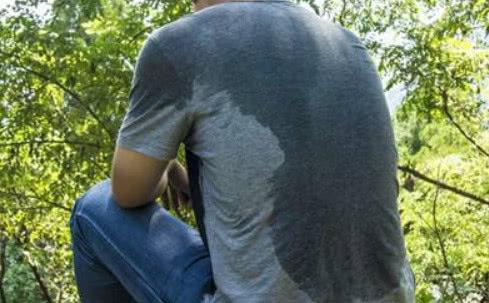 一味中药补气敛汗提升免疫力,一味中药治自汗