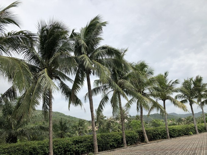带你到三亚感受不一样的美食美景,三亚之行怎能错过这些美食和美景