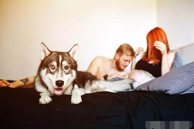 女性怀孕了老公应该做什么,老婆怀孕之后老公该做些什么