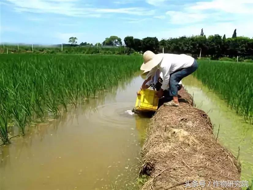 搞农业的赚不赚钱,什么样的农业项目可以挣钱