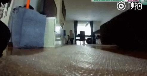 孩子越玩越聪明的100个游戏,陪孩子玩的五十个亲子游戏