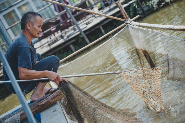 日式吃生鱼片是什么感受,日本料理中常见的生鱼片有哪些