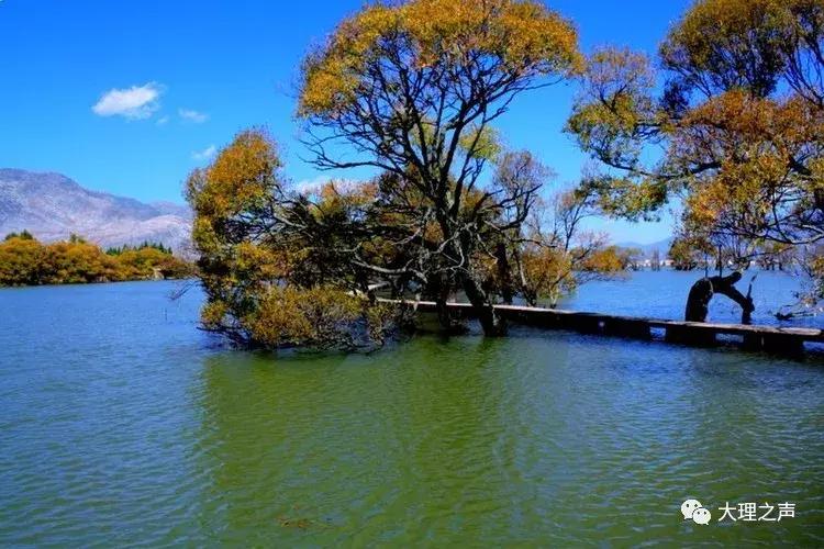 沧海桑田难为水,沧海桑田后半句