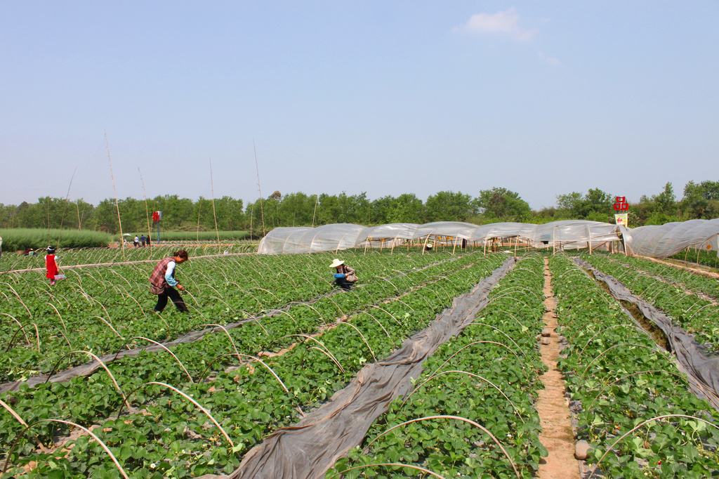 种地教育人,教育种地