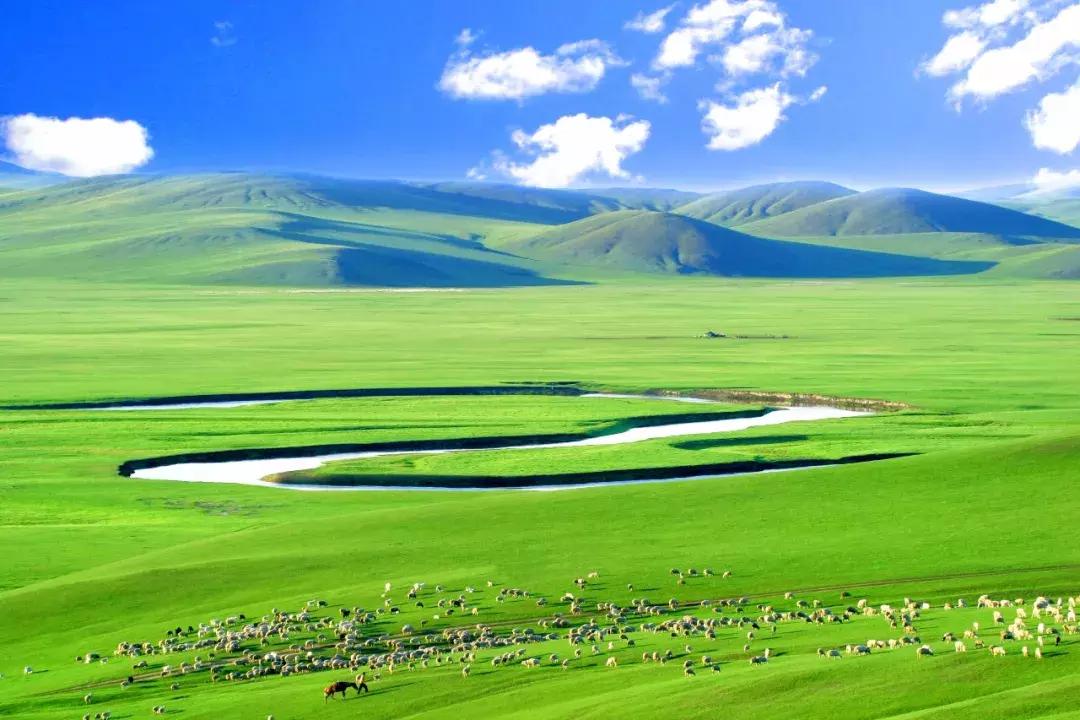 呼伦贝尔陈巴尔虎草原游牧部落 (呼伦贝尔陈巴尔虎旗人多不多)