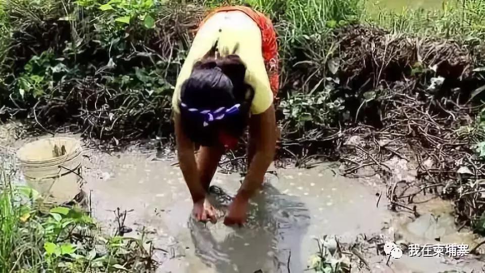 柬埔寨人真实生活视频,柬埔寨普通人生活的图片