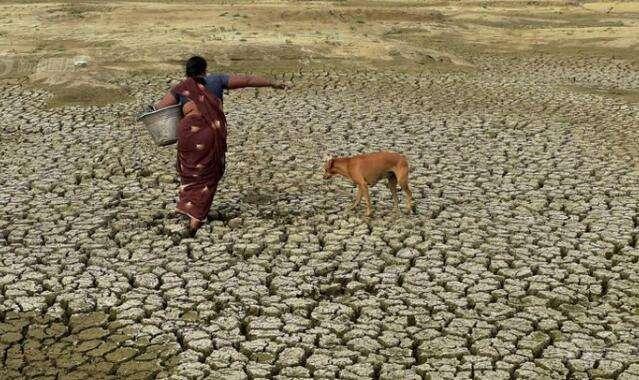 天气越来越热，更多人因此而丧命？柳叶刀：气候暖化拉高死亡率