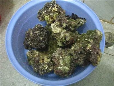 海缸降亚硝酸盐最快方法,硝酸盐中毒急救