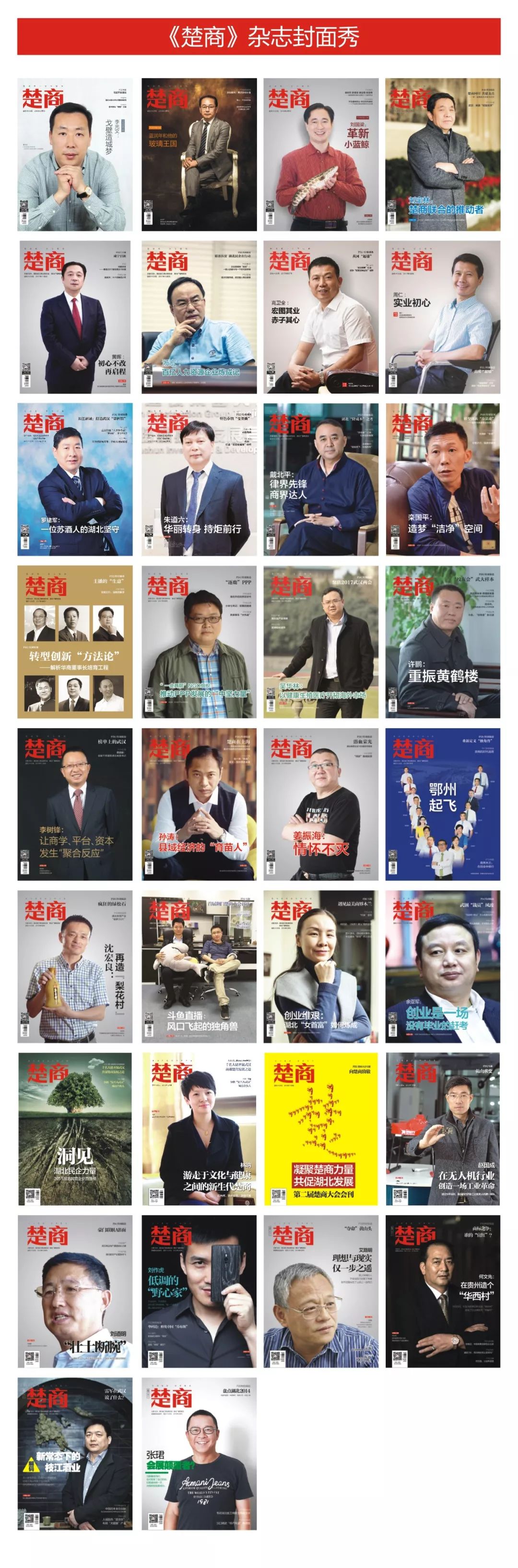 会员风采电子商务有限公司,武汉新方向教育集团