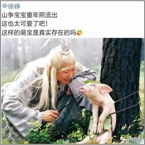 哈哈哈看徐峥的超话笑到头掉：哥哥头发都没了，他只有我们！