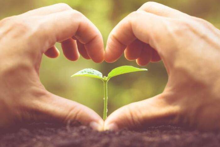 写给嘴笨的人最真实的话,嘴笨的人一定要学的15句接话技巧