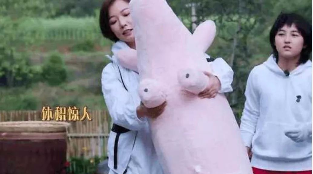 没有中国网友拔不了的草？《向往的生活》才是最大“带货”节目！