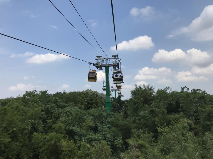 广州长隆野生动物世界之行,广州长隆野生动物世界游玩攻略图