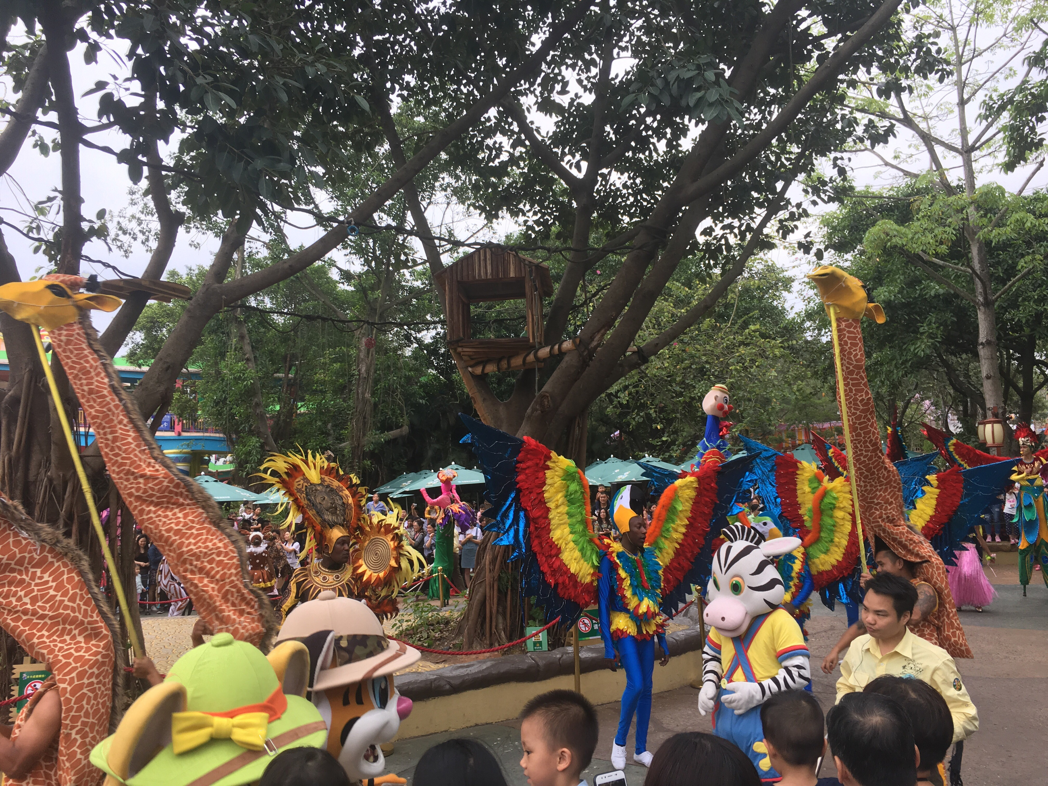 广州长隆野生动物世界之行,广州长隆野生动物世界游玩攻略图