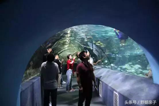 这个夏天去北京旅游好玩吗,夏天适合去的海底世界