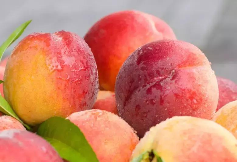 动车才开行,禄丰又迎来一波大波福利