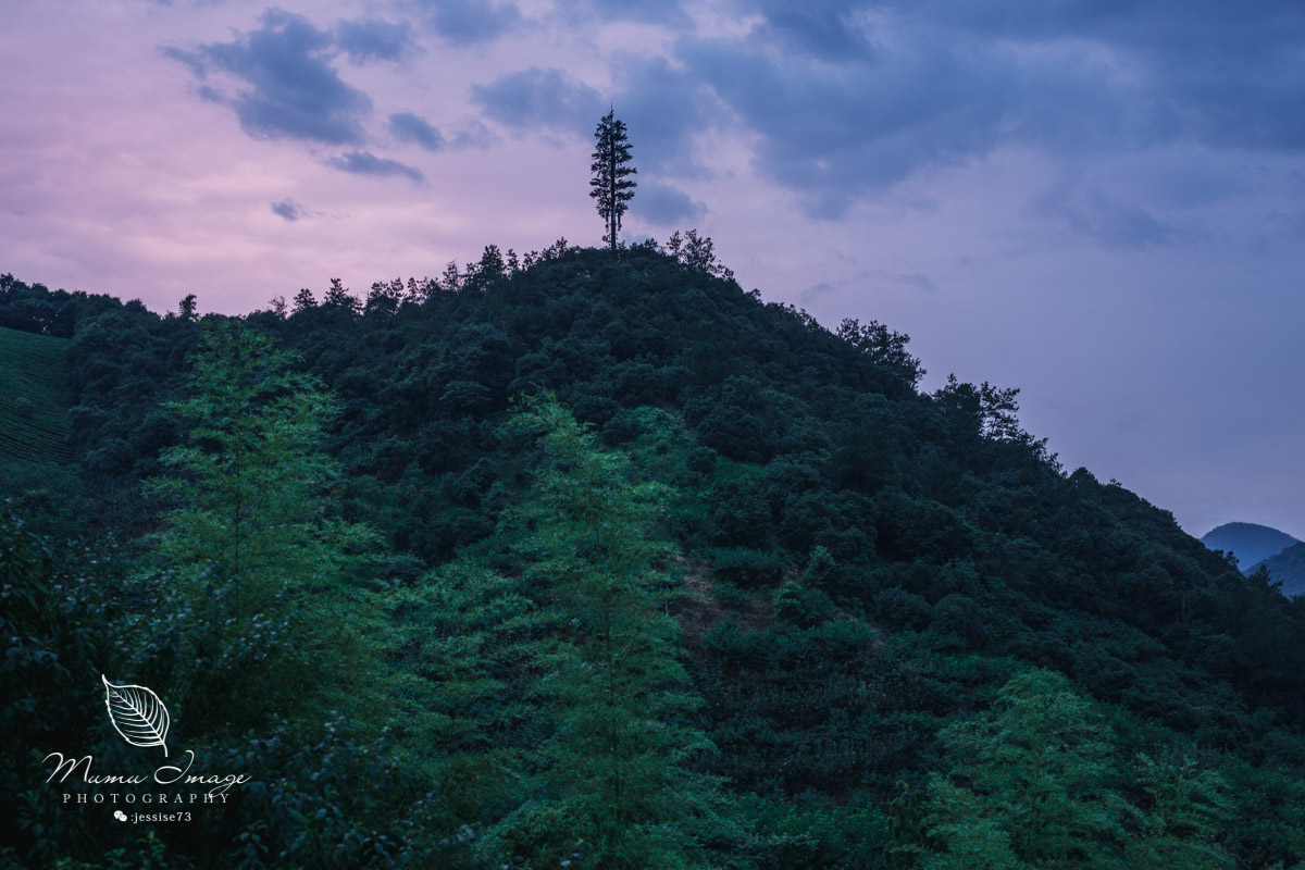 莫干山郡安里君澜度假酒店怎么样,莫干山郡安里君澜度假