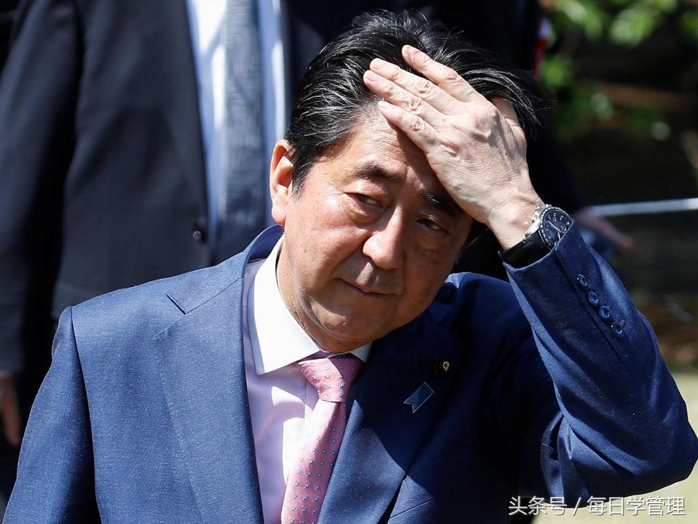 日本人记录中国式相亲,中国式相亲日本