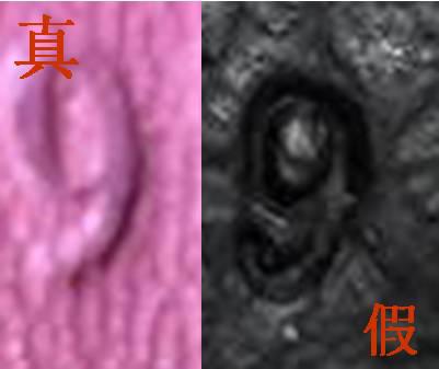 5000买的二手奢侈品包能卖多少钱,二手奢侈品店包是真的吗