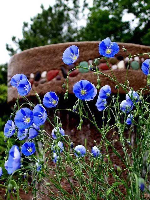 推荐|隔壁老王看完这篇文章,默默扔掉了家里的假亚麻床单