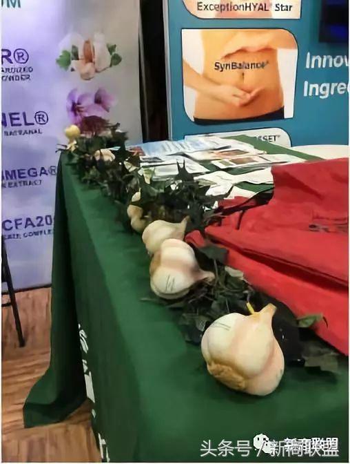 塞尔维亚人口,塞外独行侠