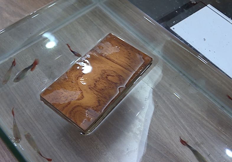 南浔地板之都,南浔地板城和地板市场