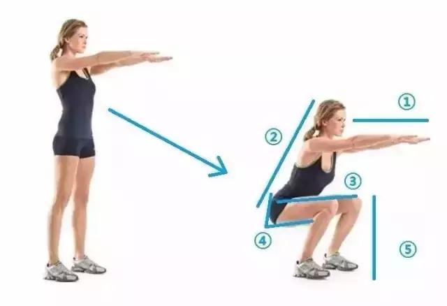 17分钟300次深蹲,30分钟站立虐腹运动